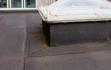 disadvantages of Hagginton Hill flat roofs