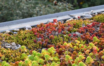 the cost of Hagginton Hill green roof installation