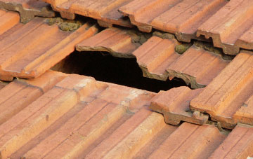 roof repair Hagginton Hill, Devon
